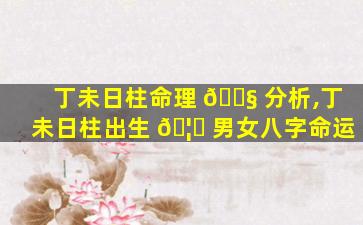丁未日柱命理 🐧 分析,丁未日柱出生 🦄 男女八字命运